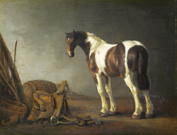 Animals for Jahrriesnge horse-lpf02580 Animals Jahrriesnge for horse-lpf02580