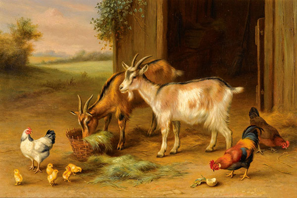 Animals for Jahrriesnge animals-lpf02586 Animals Jahrriesnge for animals-lpf02586
