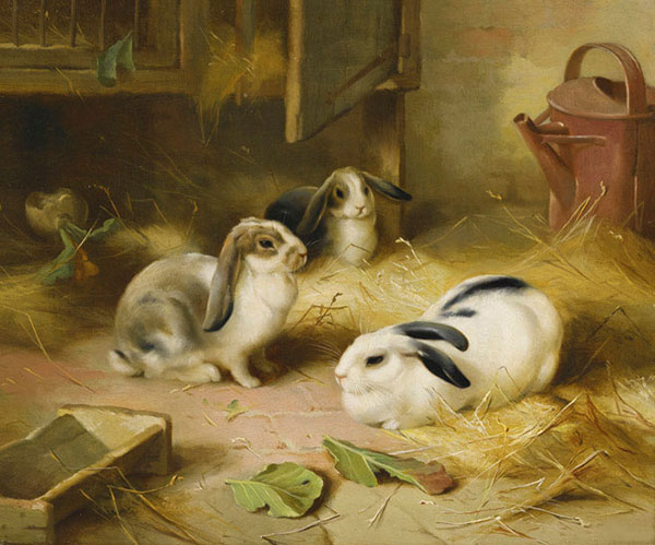 Animals for Jahrriesnge rabbit-lpf02587 Animals Jahrriesnge for rabbit-lpf02587