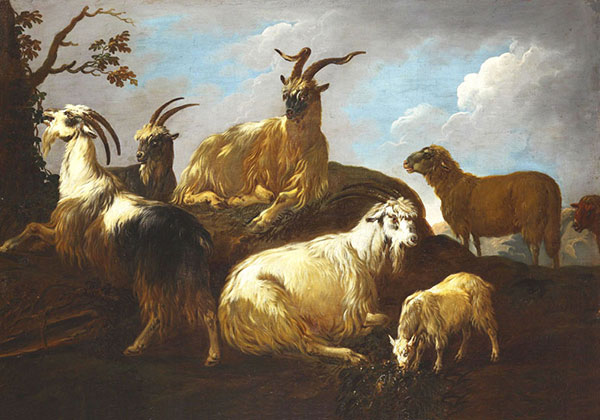 Animals for Jahrriesnge Himalayan-tal-sheep-lpf02594 Animals Jahrriesnge for Himalayan-tal-sheep-lpf02594
