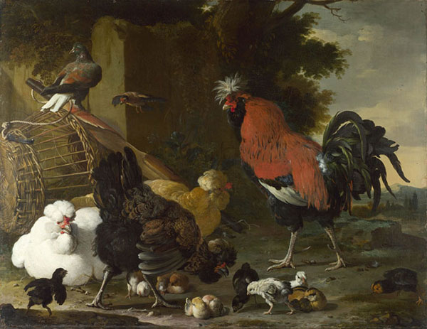 Animals for Jahrriesnge chicken-lpf02599 Animals Jahrriesnge for chicken-lpf02599