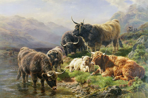 Animals for Jahrriesnge yak-lpf02600 Animals Jahrriesnge for yak-lpf02600