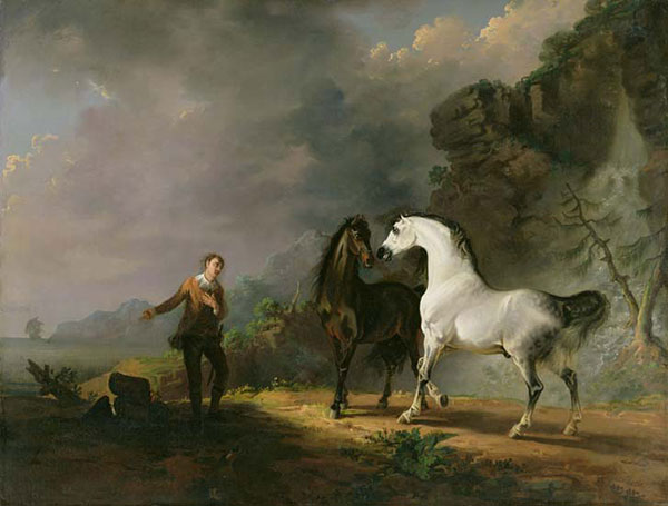 Animals for Jahrriesnge horse-lpf02603 Animals Jahrriesnge for horse-lpf02603