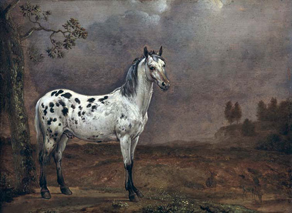 Animals for Jahrriesnge horse-lpf02607 Animals Jahrriesnge for horse-lpf02607