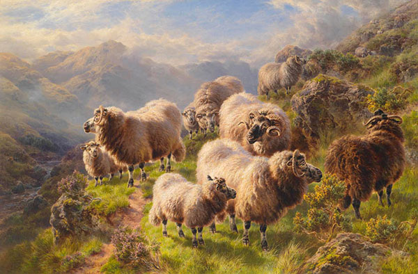 Animals for Jahrriesnge karakul-sheep-lpf02617 Animals Jahrriesnge for karakul-sheep-lpf02617