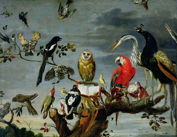 Animals for Jahrriesnge birds-lpf02620 Animals Jahrriesnge for birds-lpf02620