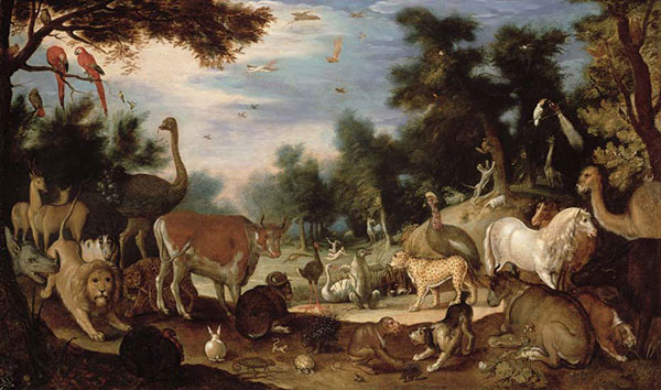 Animals for Jahrriesnge animals-lpf02624 Animals Jahrriesnge for animals-lpf02624