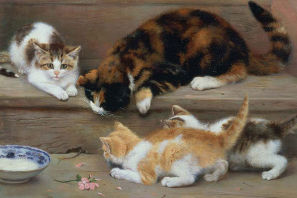 Animals for Jahrriesnge cat-lpf02627 Animals Jahrriesnge for cat-lpf02627
