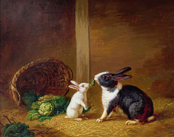 Animals for Jahrriesnge rabbit-lpf02630 Animals Jahrriesnge for rabbit-lpf02630