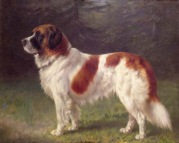 Animals for Jahrriesnge dog-lpf02635 Animals Jahrriesnge for dog-lpf02635
