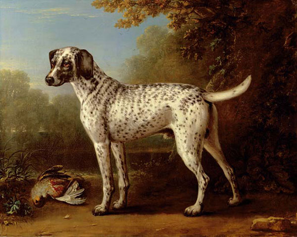 Animals for Jahrriesnge dog-lpf02644 Animals Jahrriesnge for dog-lpf02644