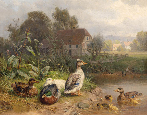 Animals for Jahrriesnge duck-lpf02646 Animals Jahrriesnge for duck-lpf02646