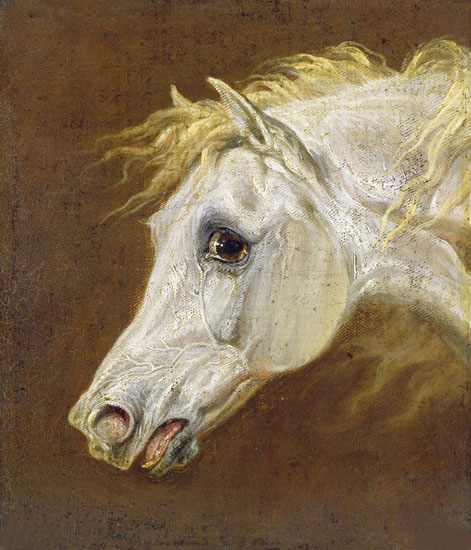 Animals for Jahrriesnge horse-lpf02650 Animals Jahrriesnge for horse-lpf02650