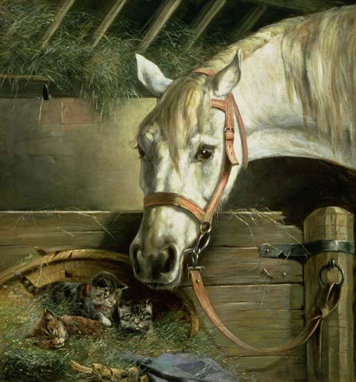 Animals for Jahrriesnge horse-lpf02651 Animals Jahrriesnge for horse-lpf02651