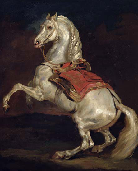 Animals for Jahrriesnge horse-lpf02652 Animals Jahrriesnge for horse-lpf02652