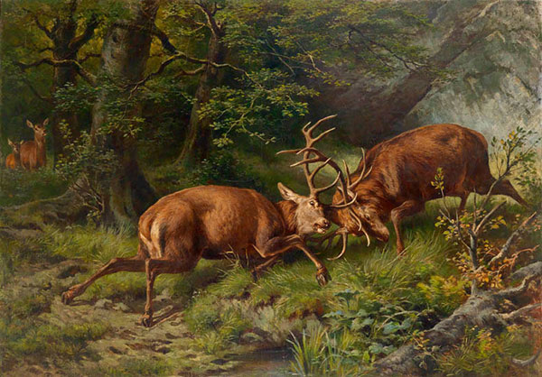 Animals for Jahrriesnge elk-lpf02653 Animals Jahrriesnge for elk-lpf02653