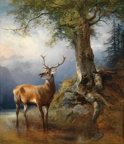 Animals for Jahrriesnge deer-lpf02657 Animals Jahrriesnge for deer-lpf02657