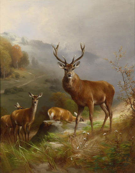 Animals for Jahrriesnge deer-lpf02658 Animals Jahrriesnge for deer-lpf02658