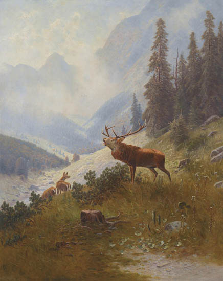 Animals for Jahrriesnge deer-lpf02659 Animals Jahrriesnge for deer-lpf02659