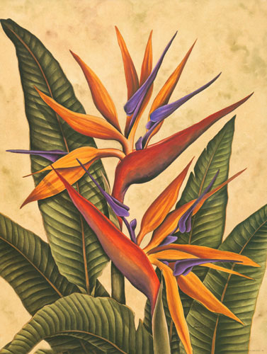 Floral for JAHRRIESNGE bird of paradise flower lpf04605 Floral JAHRRIESNGE for bird of paradise flower lpf04605