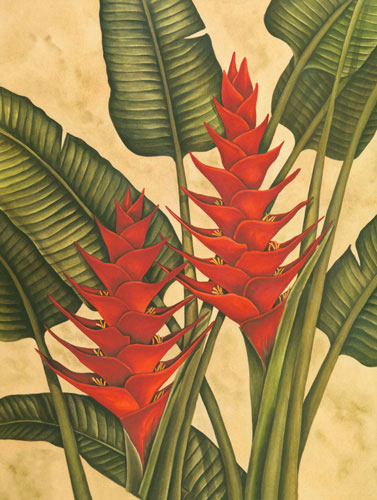 Floral for JAHRRIESNGE heliconia lpf04606 Floral JAHRRIESNGE for heliconia lpf04606
