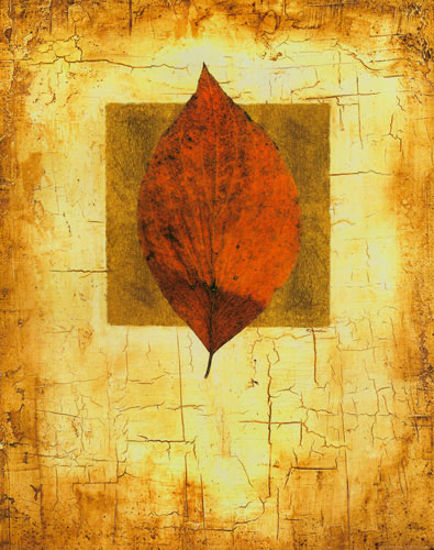 Floral for JAHRRIESNGE leaf lpf04637 Floral JAHRRIESNGE for leaf lpf04637