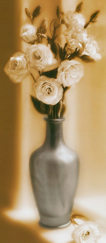 Floral for JAHRRIESNGE flower lpf04686 Floral JAHRRIESNGE for flower lpf04686