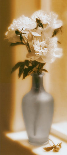 Floral for JAHRRIESNGE flower lpf04687 Floral JAHRRIESNGE for flower lpf04687