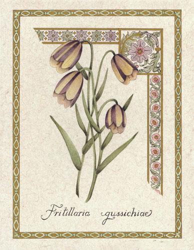 Floral for JAHRRIESNGE flower lpf04738 Floral JAHRRIESNGE for flower lpf04738