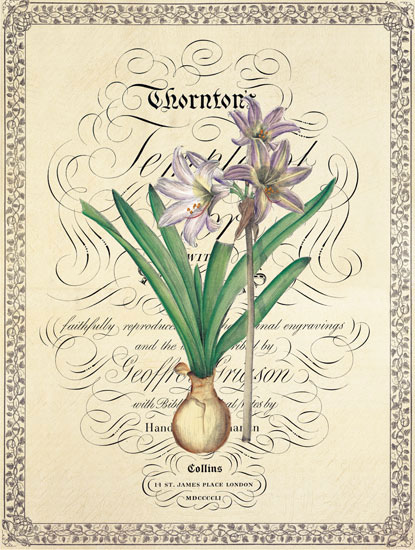 Floral for JAHRRIESNGE flower lpf04739 Floral JAHRRIESNGE for flower lpf04739