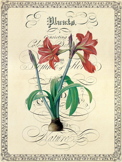 Floral for JAHRRIESNGE flower lpf04740 Floral JAHRRIESNGE for flower lpf04740