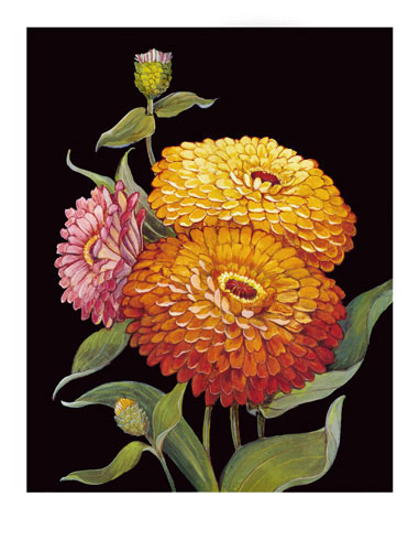 Floral for JAHRRIESNGE flowers lpf04812 Floral JAHRRIESNGE for flowers lpf04812