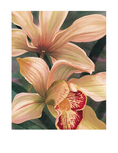 Floral for JAHRRIESNGE flowers lpf04815 Floral JAHRRIESNGE for flowers lpf04815