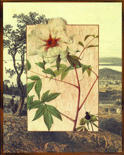 Floral for Jahrriesnge flowers lpf04827 Floral Jahrriesnge for flowers lpf04827