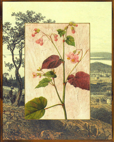 Floral for JAHRRIESNGE flowers lpf04829 Floral JAHRRIESNGE for flowers lpf04829