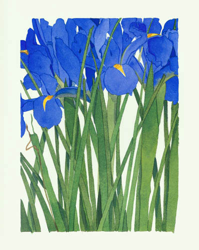 Floral for JAHRRIESNGE flowers lpf04910 Floral JAHRRIESNGE for flowers lpf04910
