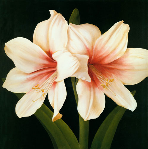 Floral for Jahrriesnge flowers lpf04951 Floral Jahrriesnge for flowers lpf04951