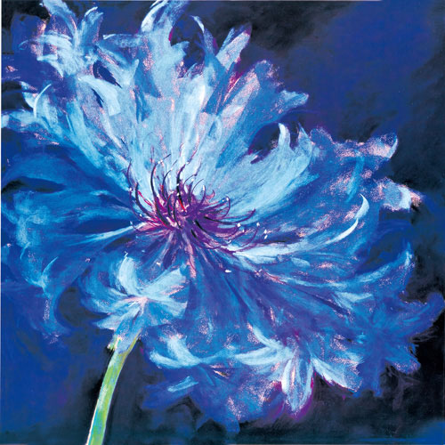 Floral for JAHRRIESNGE flower lpf05034 Floral JAHRRIESNGE for flower lpf05034