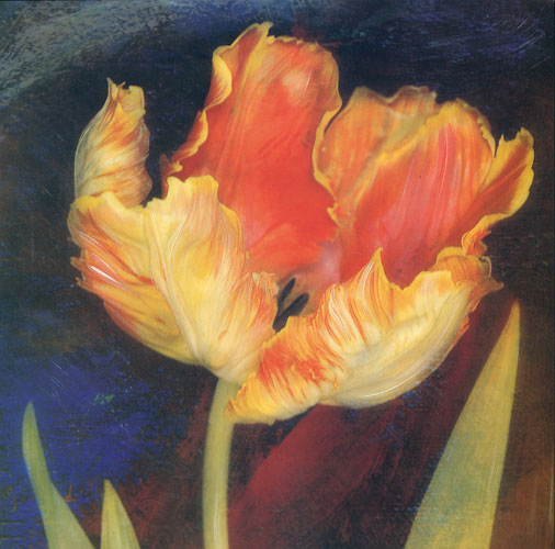 Floral for JAHRRIESNGE flowers lpf05248 Floral JAHRRIESNGE for flowers lpf05248