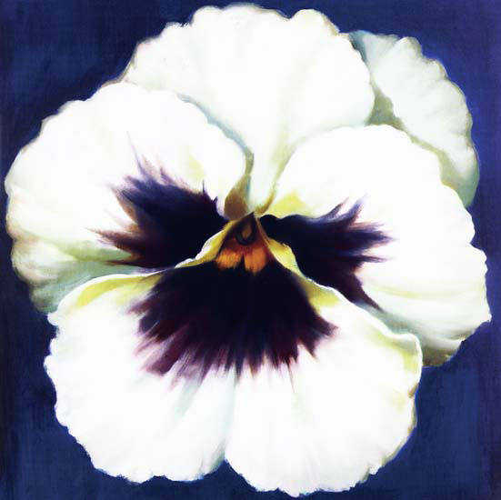 Floral for JAHRRIESNGE flowers lpf05350 Floral JAHRRIESNGE for flowers lpf05350