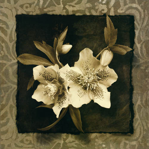 Floral for Jahrriesnge flowers lpf05472 Floral Jahrriesnge for flowers lpf05472