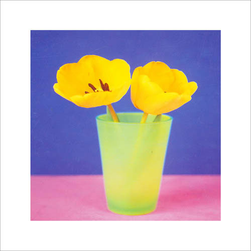 Floral for JAHRRIESNGE flowers lpf05589 Floral JAHRRIESNGE for flowers lpf05589