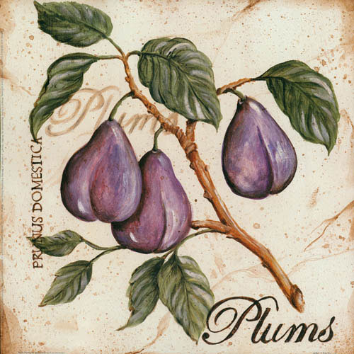 Floral for JAHRRIESNGE plums lpf05600 Floral JAHRRIESNGE for plums lpf05600