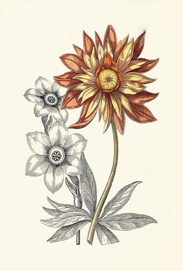 Floral for JAHRRIESNGE flowers-lpf06621 Floral JAHRRIESNGE for flowers-lpf06621