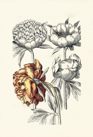 Floral for JAHRRIESNGE flowers-lpf06622 Floral JAHRRIESNGE for flowers-lpf06622