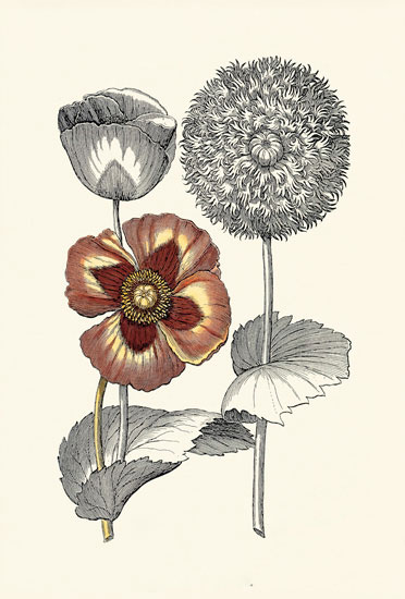 Floral for JAHRRIESNGE flowers-lpf06623 Floral JAHRRIESNGE for flowers-lpf06623