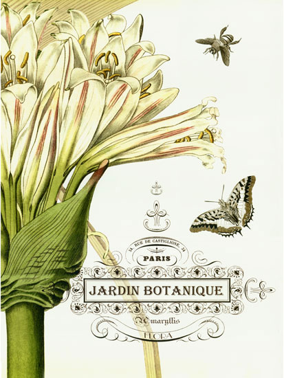 Floral for JAHRRIESNGE flowers-lpf06633 Floral JAHRRIESNGE for flowers-lpf06633