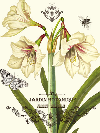 Floral for JAHRRIESNGE flowers-lpf06634 Floral JAHRRIESNGE for flowers-lpf06634