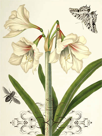 Floral for JAHRRIESNGE flowers-lpf06639 Floral JAHRRIESNGE for flowers-lpf06639