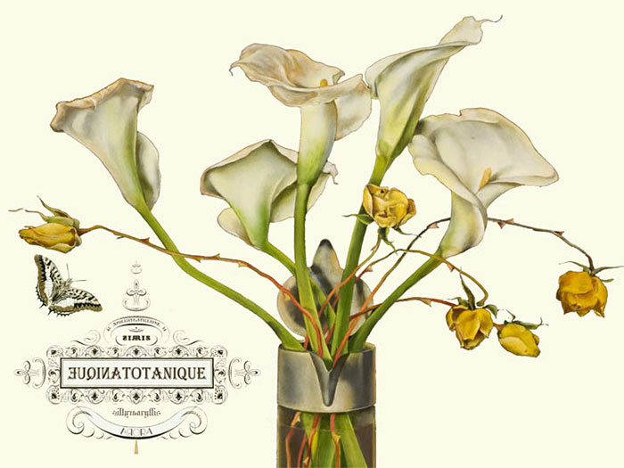 Floral for JAHRRIESNGE flowers-lpf06640 Floral JAHRRIESNGE for flowers-lpf06640